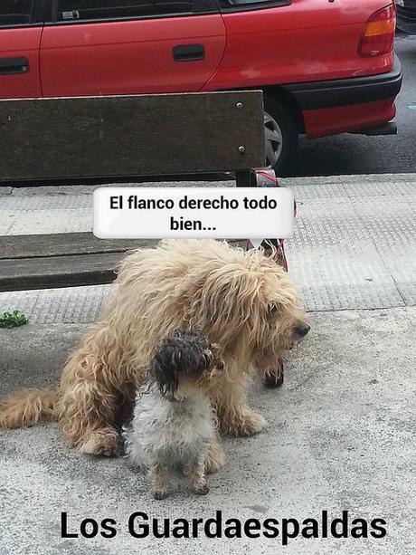 estamos tan agustito