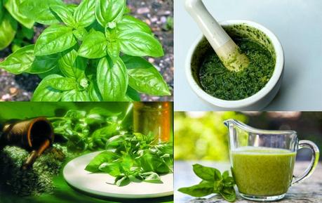 PROPIEDADES MEDICINALES DE LA ALBAHACA