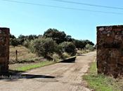 MAYASA prevé nuevos puestos trabajo Comarca Almadén sector maderero