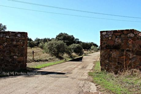 MAYASA prevé nuevos puestos de trabajo en la Comarca de Almadén en el sector maderero