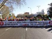 Ante todo, dignidad