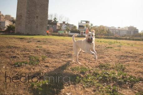 Outfit Love Session trini-lovesession-50