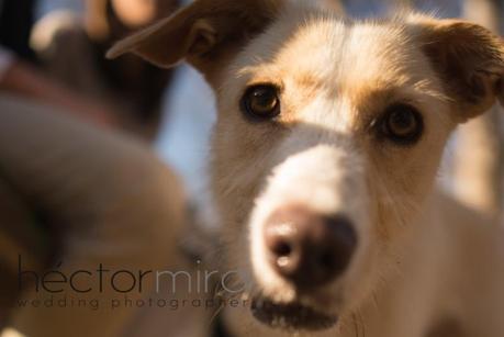 Outfit Love Session trini-lovesession-42