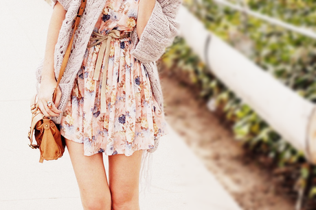 ✽ Hello Spring ✽