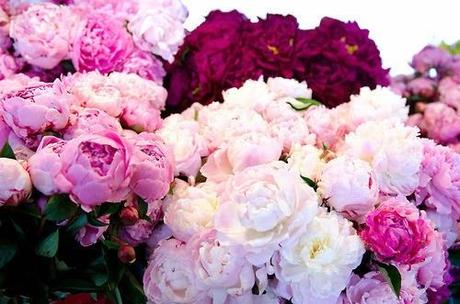 ✽ Hello Spring ✽