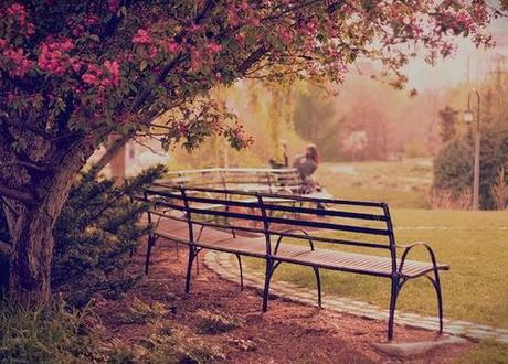 ✽ Hello Spring ✽