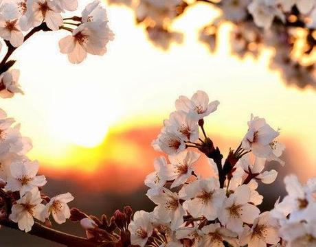 ✽ Hello Spring ✽