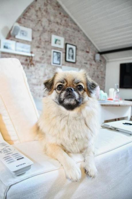 Un salón con pared de ladrillos y pinceladas en Mint!