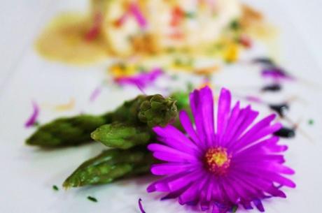 ¡Ya es primavera en Quely!. Pastel de verduras gratinado con crema de queso mahonés y crumble de galletas Quely y almendras. Paso a paso.