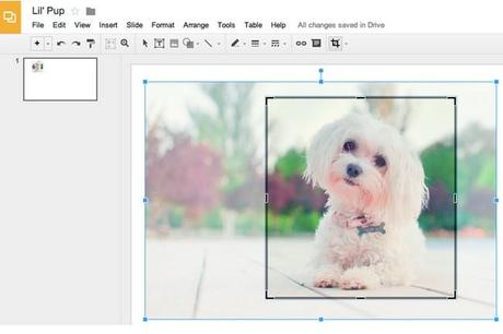 google-slides-crop-tool