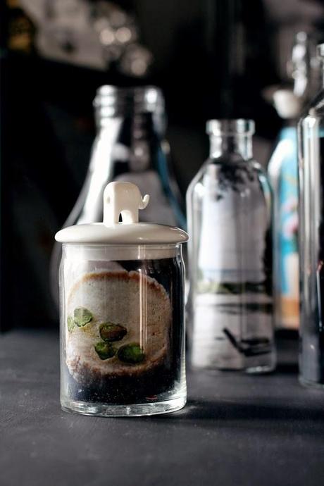 MENSAJE EN UNA BOTELLA