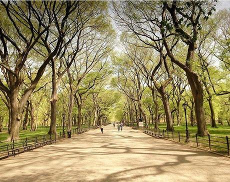 Central Park