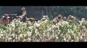 La Intelectualización de lo Absurdo, del Dolor, del Sufri...