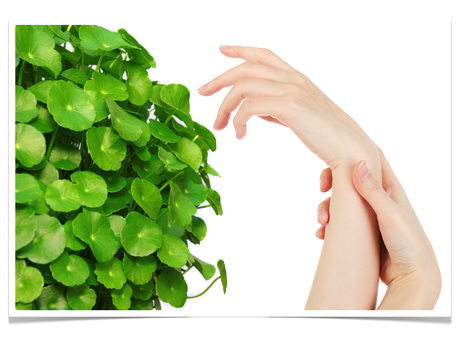 Beneficios de la Centella asiática