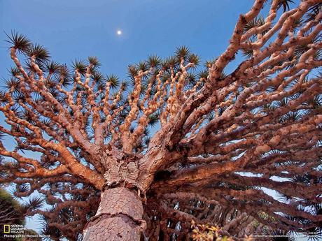 33 Paisajes increíbles del Mundo.