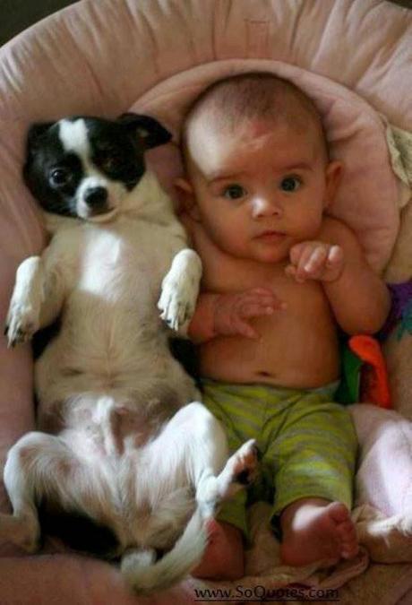 Niños y Perros