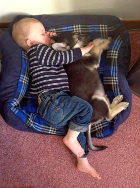 Niños y Perros