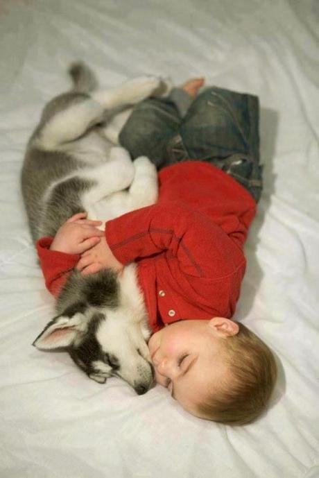 Niños y Perros