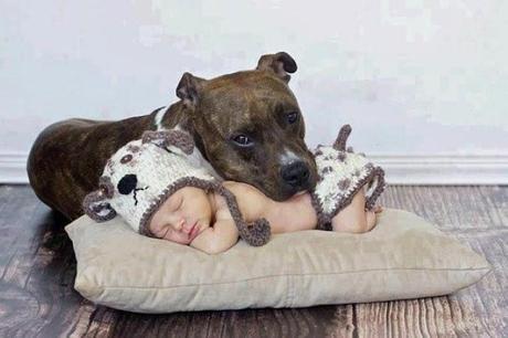 Niños y Perros