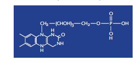 Caldos luminosos Luciferina bacteriana. Créditos: bioscience