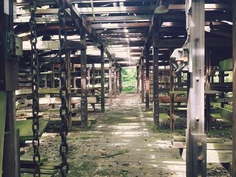 Zoologico humano abandonado en París