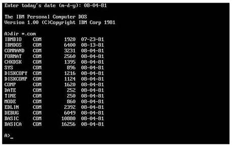 Ms_dos 1.0