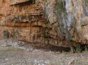 G.E.V. colabora defensa patrimonio