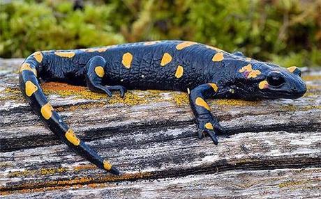 Colaboración con una Asociación de Granada