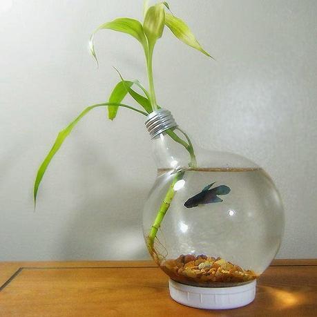 Miércoles de inspiración ♥ Decora tu casa con bombillas