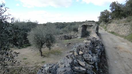 DE ARROYOMOLINOS A MONTÁNCHEZ, EL ASCENSO A LAS FUENTES D...