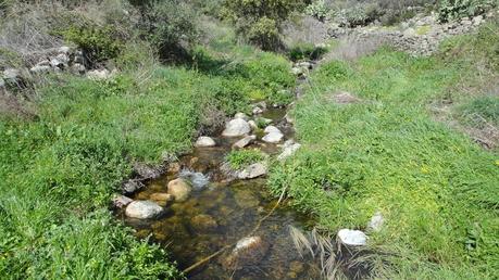 DE ARROYOMOLINOS A MONTÁNCHEZ, EL ASCENSO A LAS FUENTES D...