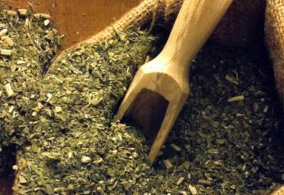 LA YERBA MATE POR LAS NUBES