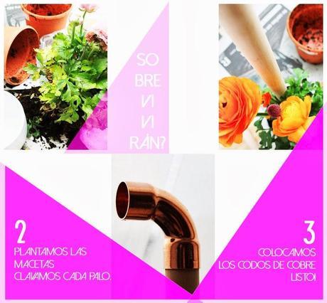 DIY.cuelgollares vs. macetero
