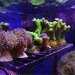 DSC00059