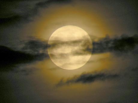 Sonrisas Por Doquier Sonrisas Por Doquier