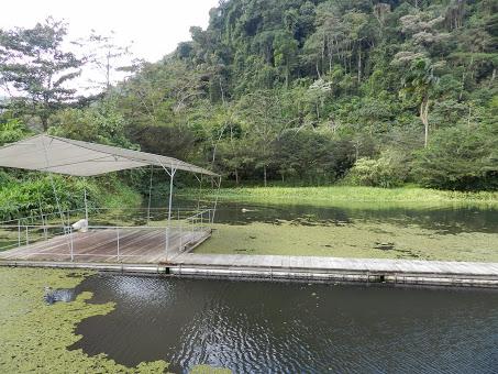 Mi vida en Rancho Margot: hotel rural, finca ecológica y yoga