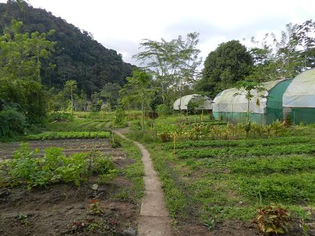 Mi vida en Rancho Margot: hotel rural, finca ecológica y yoga