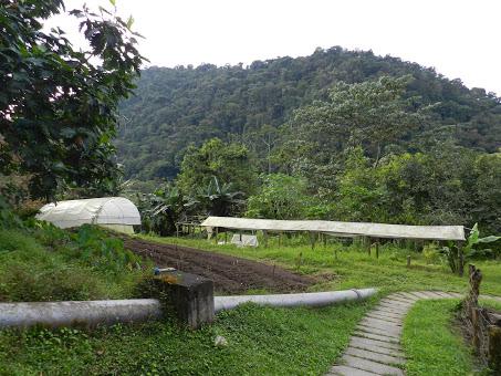 Mi vida en Rancho Margot: hotel rural, finca ecológica y yoga