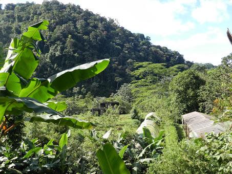 Mi vida en Rancho Margot: hotel rural, finca ecológica y yoga