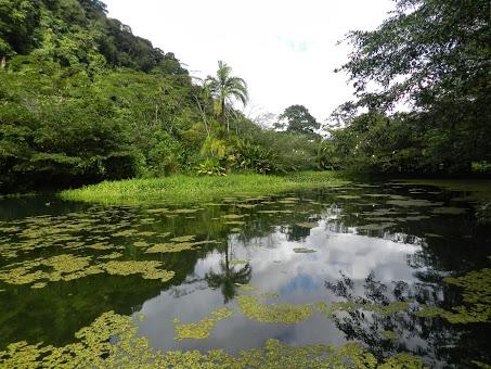 Mi vida en Rancho Margot: hotel rural, finca ecológica y yoga