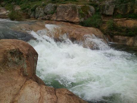 Ideas para reciclar el agua