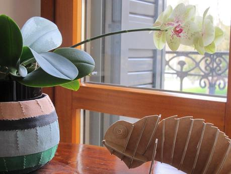 Hoy me gustan.......las flores