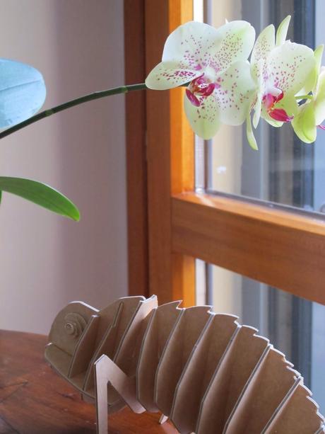 Hoy me gustan.......las flores