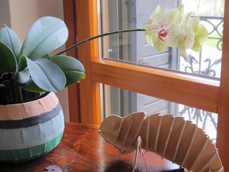 Hoy me gustan.......las flores