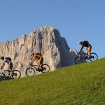 Rooibos y deporte. La mejor bebida isotónica natural.