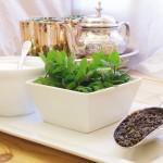 Té moruno, el té verde con hierbabuena.