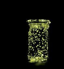 EL BRILLO DE LAS LUCIÉRNAGAS