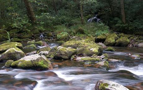 Guipuzkoa – Valle de Leitzaran