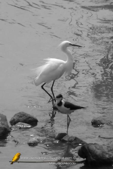 Un minuto en el puente del Arroyo Mártires