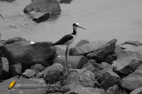 Un minuto en el puente del Arroyo Mártires